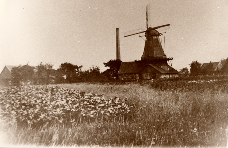 Sägemühle