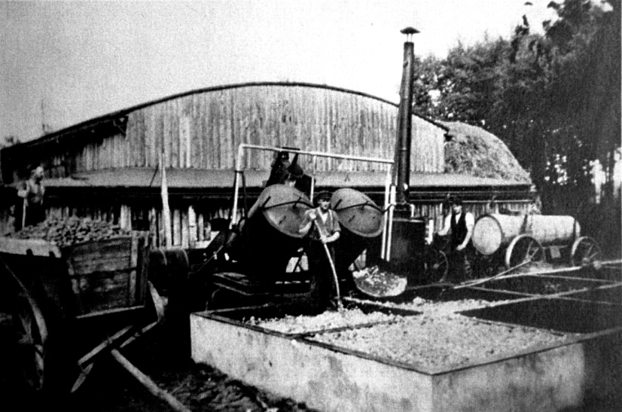 kartoffeldämpfen2